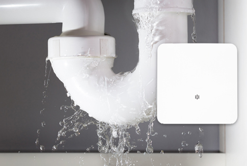 Leak Gopher Water Automation Shut-off Valve and Sensor